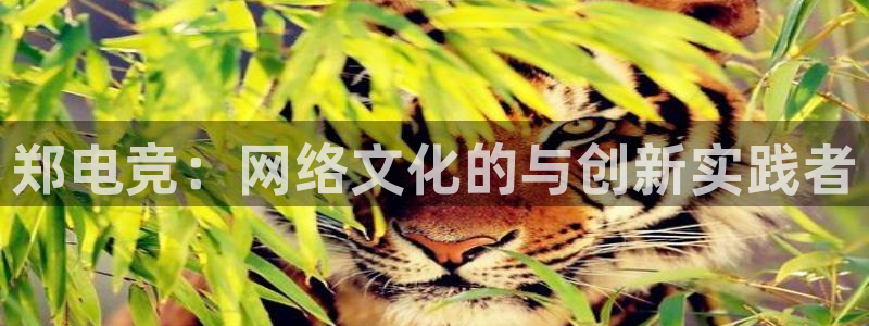 安博电竞登录网页版官网