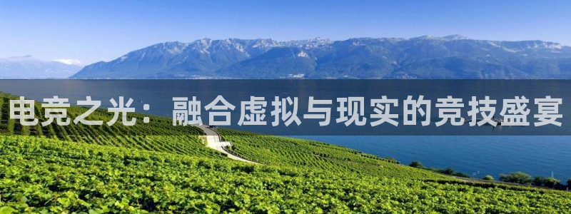 安博电竞官网入口：电竞之光：融合虚拟与现实的竞技盛宴