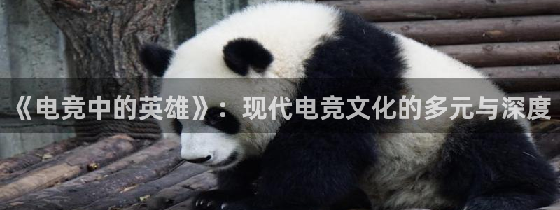 安博电竞吧