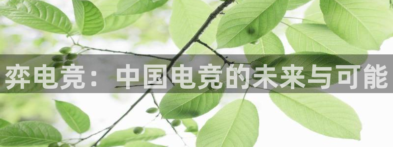 安博电竞网站官网入口手机版：弈电竞：中国电竞的未来与可能